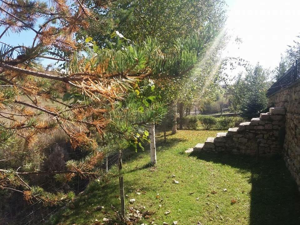 Vila118 Voskopojë Exterior foto